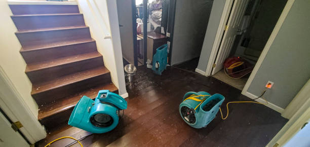 Best Water damage restoration company  in USA